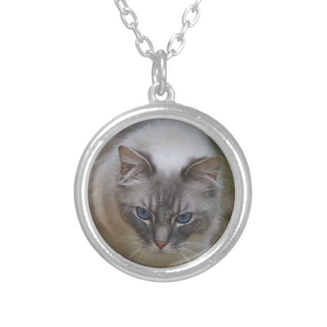 Ragdoll Cat Pendant (Front)