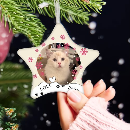 Ragdoll Cat Personalized Hand Drawing Ceramic Ornament