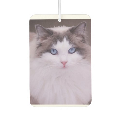 Ragdoll Cat Personalized Photo Air Freshener