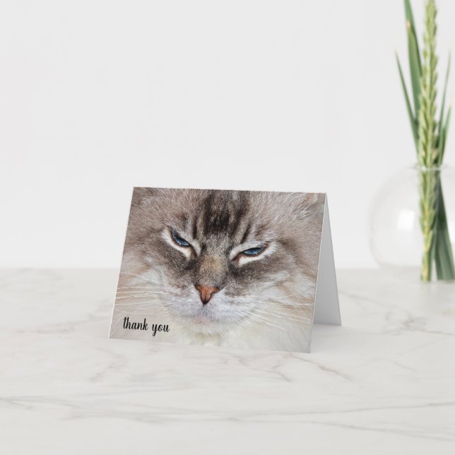 Ragdoll Cat Pet Care Thank You  Card (Front)