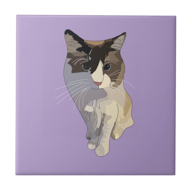 Ragdoll cat, Purple Ceramic Tile (Front)
