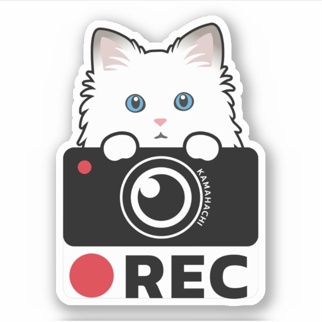 Ragdoll Cat Recording Vinyl Sticker camera warning (Front)