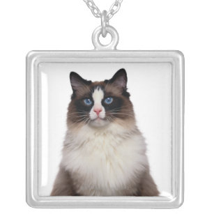 Ragdoll Cat Silver Plated Necklace