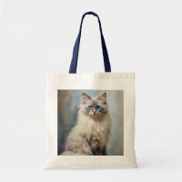Ragdoll cat