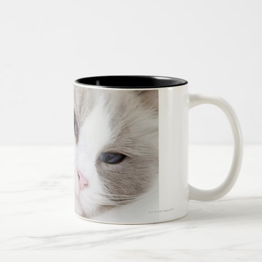 Ragdoll cat Two-Tone coffee mug | Zazzle