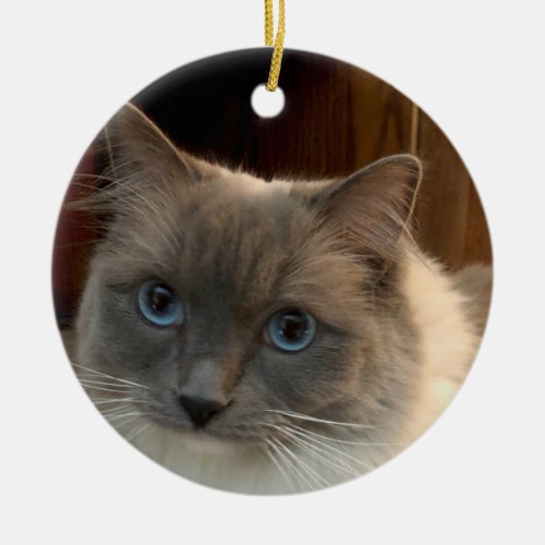 Ragdoll Cat with Blue Eyes can be personalized  Ceramic Ornament