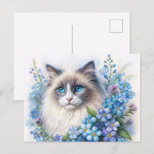 Ragdoll Cat With Forget-Me-Nots Postcard