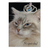 Ragdoll cat with jeweled crown (Front)