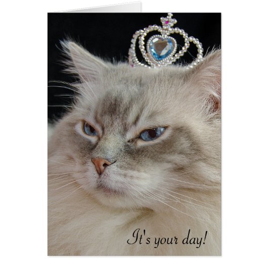 Ragdoll cat with jeweled crown cards (Front)