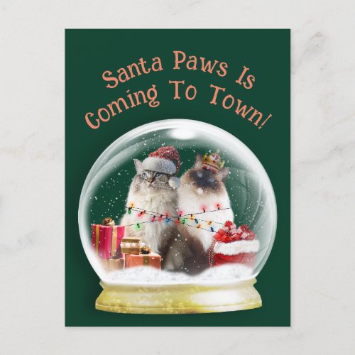 Ragdoll Cats in Snow Globe Christmas Greeting Card