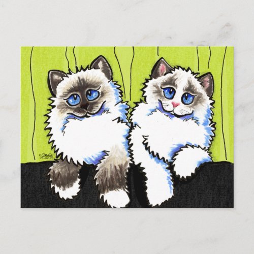 Ragdoll Cats Pair of Dolls Off_Leash Art Postcard