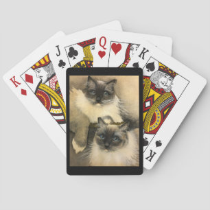Ragdoll Cats Poker Cards