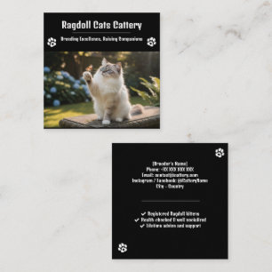 Ragdoll Cattery Business Card Custom Cat Breeder