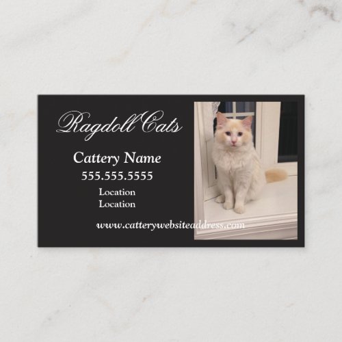 Ragdoll Cattery Business Cards _ Black w White