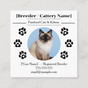 Ragdoll Cattery Customizable Cat Breeder Business  Square Business Card