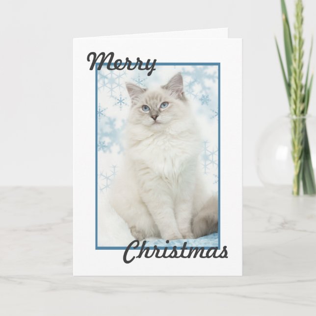 ragdoll christmas card (Front)