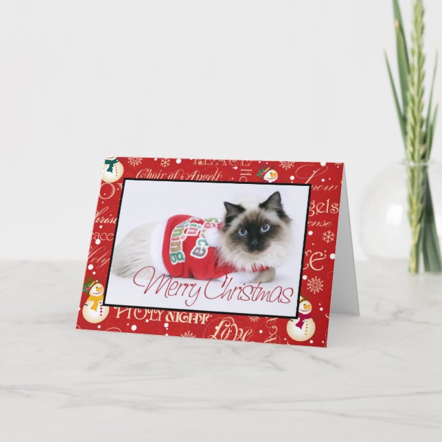 Ragdoll Christmas Card (Front)