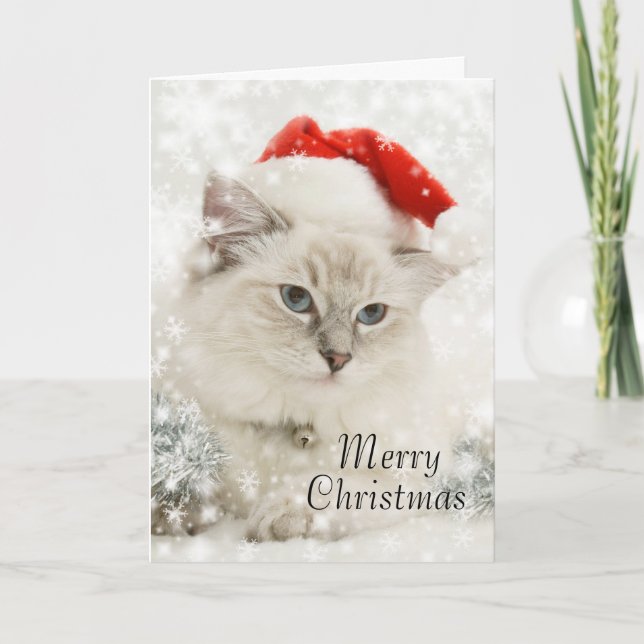 Ragdoll christmas card (Front)