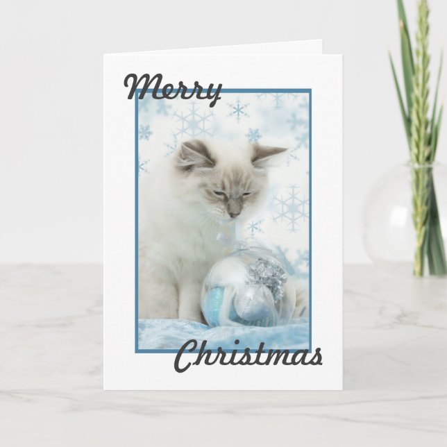 ragdoll christmas card (Front)
