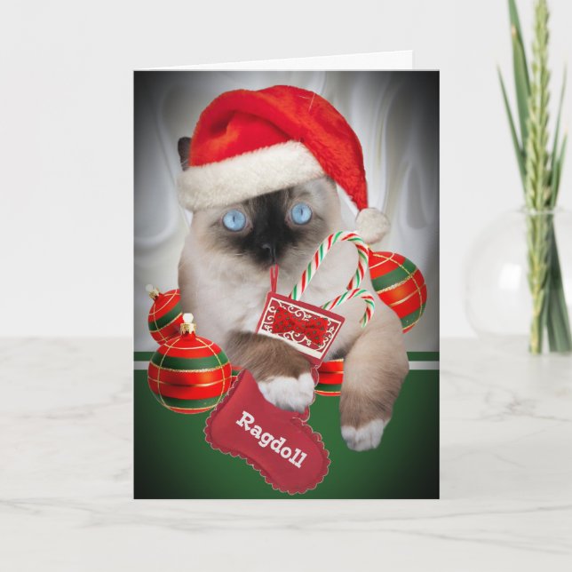 Ragdoll Christmas Cards (Front)