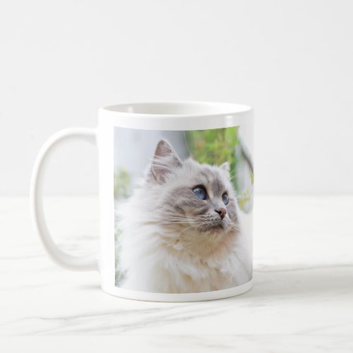 Ragdoll Cute Cat Mug