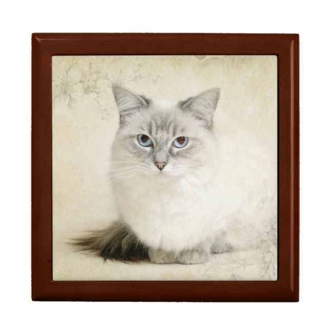 ragdoll gift box (Front)