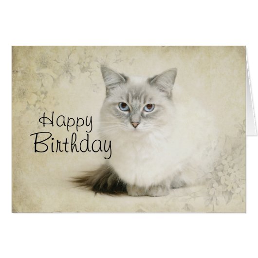 ragdoll greetings card (Front Horizontal)