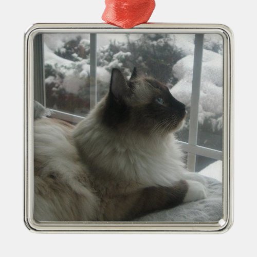 Ragdoll Himalayan Cat Christmas Snow Kitty Ornamen Metal Ornament