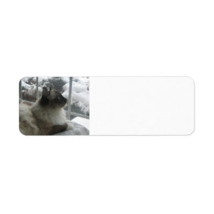 Ragdoll Himalayan Cat Kitty Snow Christmas Scene Label