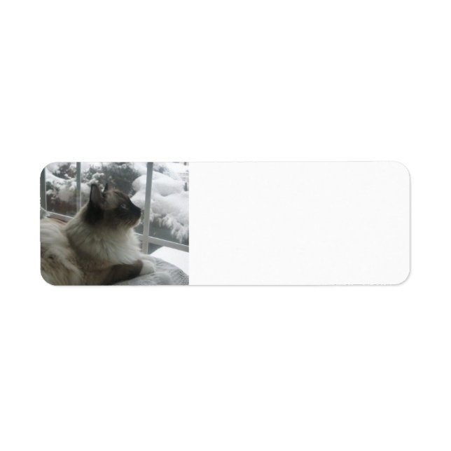 Ragdoll Himalayan Cat Kitty Snow Christmas Scene Label (Front)
