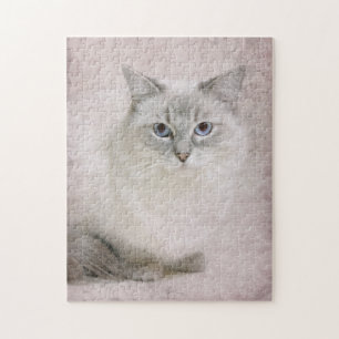 Ragdoll jigsaw jigsaw puzzle