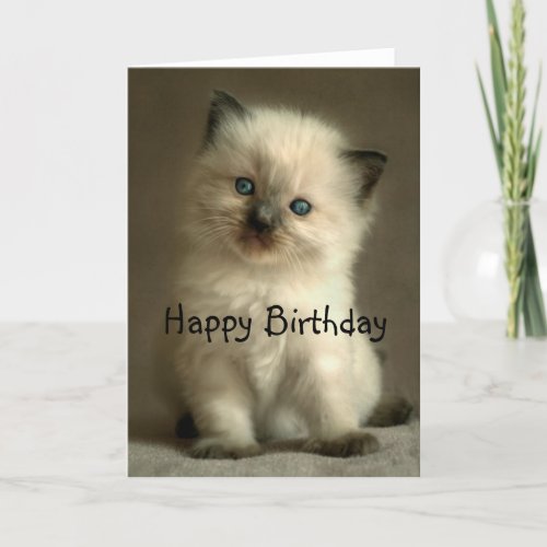 Ragdoll Kitten Birthday Card