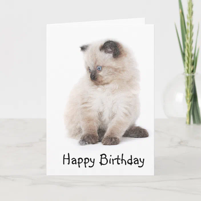 Cat Ragdoll Watercolour Card With Envelope