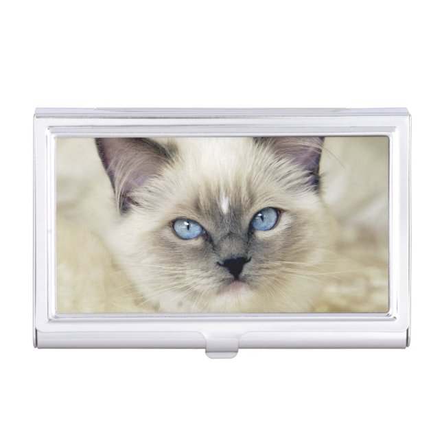 Ragdoll kitten business card holder (Front)