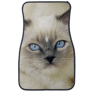 Ragdoll kitten car mat
