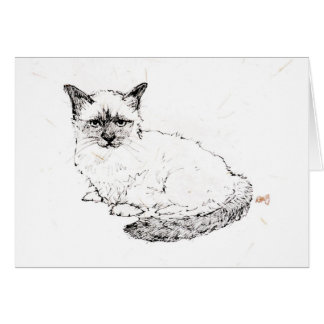 Ragdoll Kitten Cards
