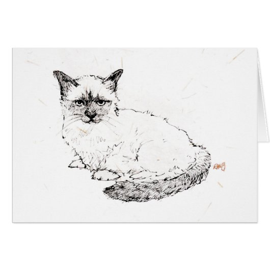 Ragdoll Kitten Cards (Front Horizontal)