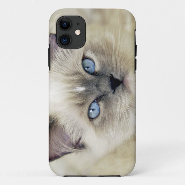 Ragdoll kitten Case-Mate iPhone case (Back)