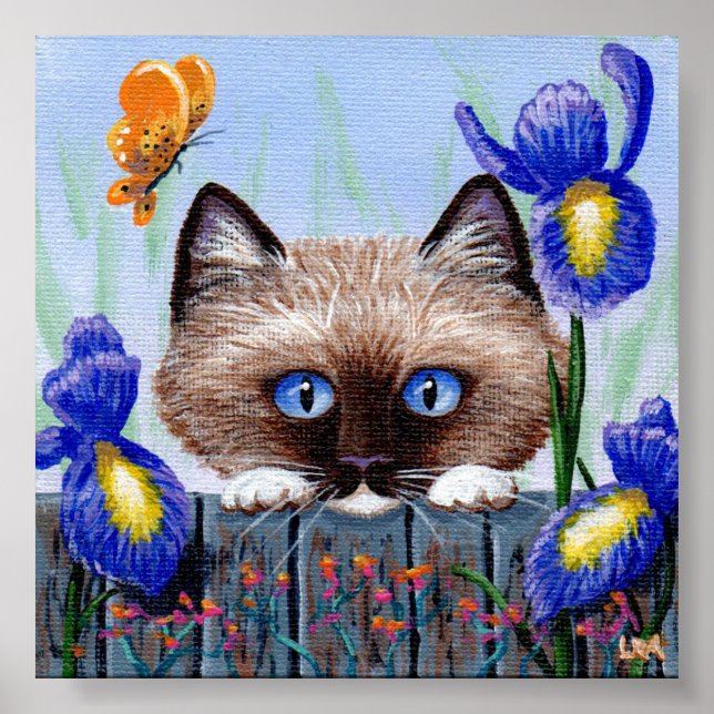 Ragdoll Kitten Cat Siamese Burmese Poster (Front)