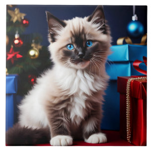 Ragdoll Kitten Christmas Present  Ceramic Tile