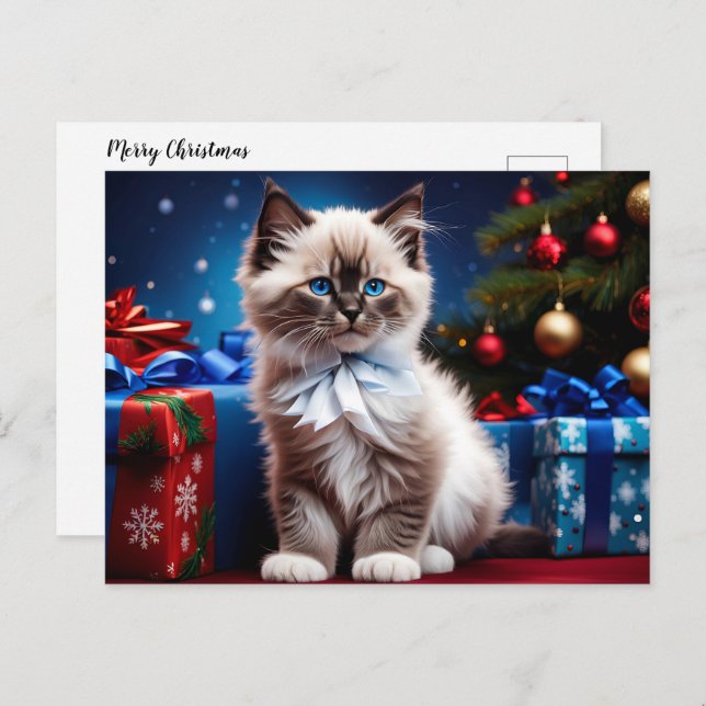 Ragdoll Kitten Christmas Present  Holiday Postcard (Front/Back)
