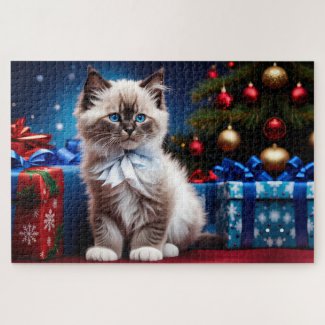 Ragdoll Kitten Christmas Present 