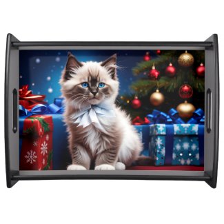 Ragdoll Kitten Christmas Present 