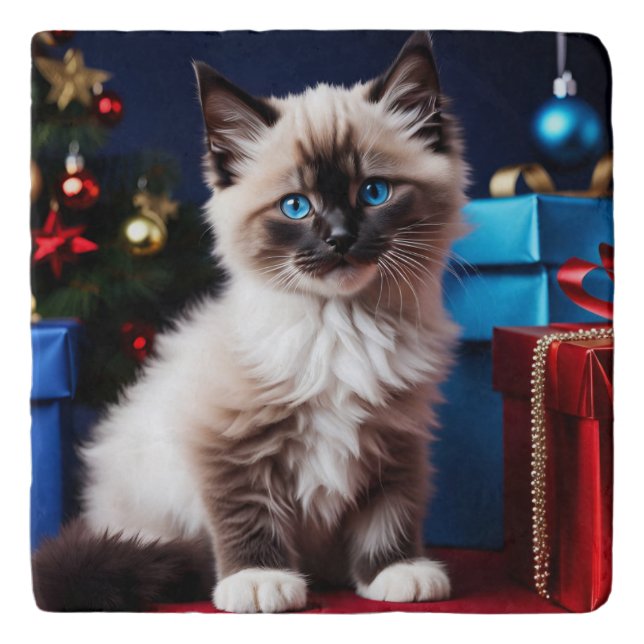 Ragdoll Kitten Christmas Present  Trivet (Front)