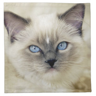 Ragdoll kitten cloth napkin