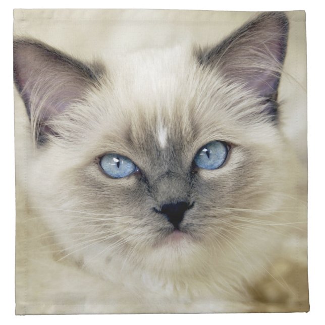 Ragdoll kitten cloth napkin (Front)