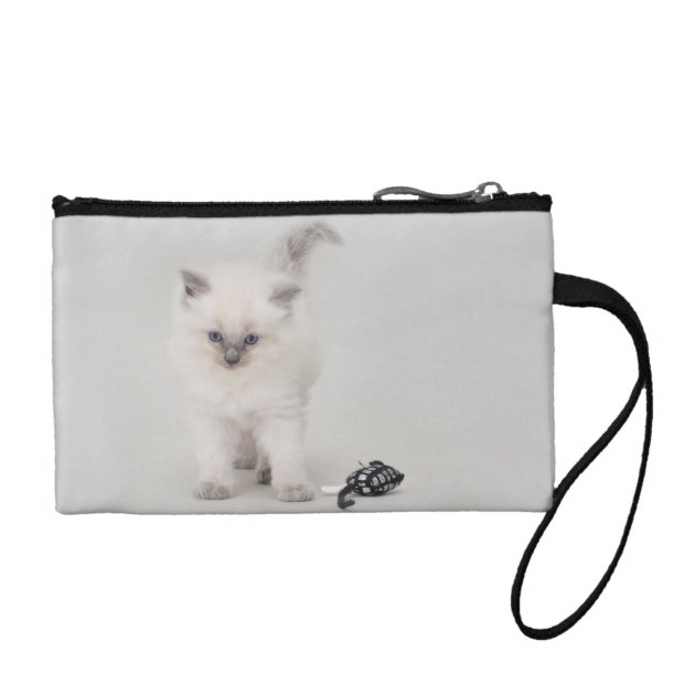 kitten coin purse