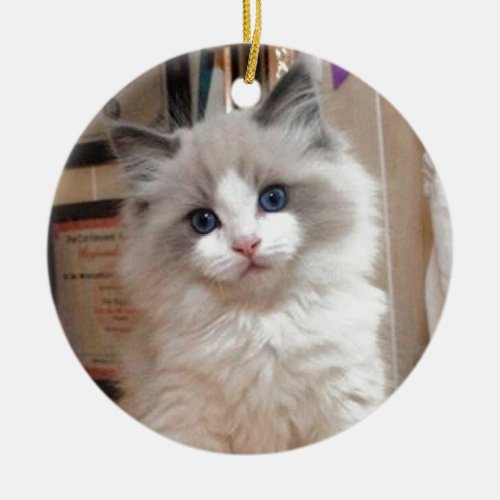 Ragdoll Kitten Cutie Ceramic Ornament
