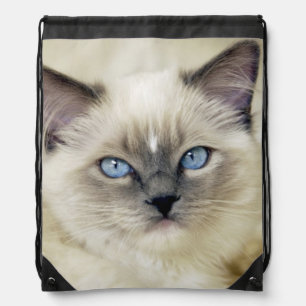 Ragdoll kitten drawstring bag