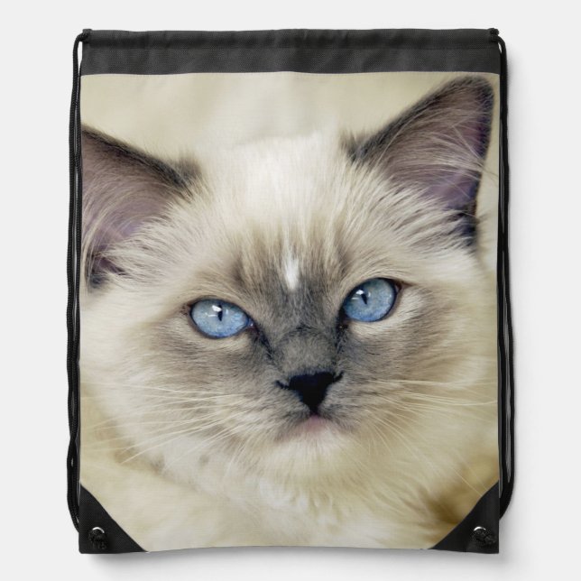 Ragdoll kitten drawstring bag (Front)